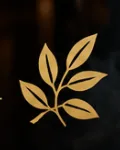 DoughNest WebP